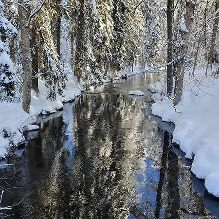 Rieslehof Nr9 تيتيسي نيوستادت