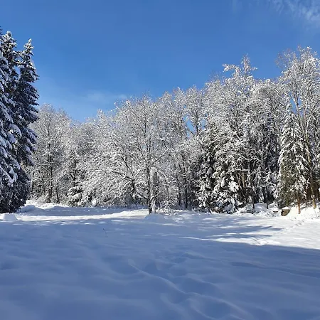 شقة Rieslehof Nr9 تيتيسي نيوستادت